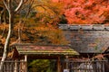 Autumn maple leaves are on the japan style roof Royalty Free Stock Photo