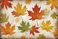 Autumn maple leaves on old paper background Royalty Free Stock Photo