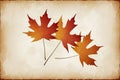 Autumn maple leaves on old paper texture background Royalty Free Stock Photo