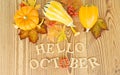 Autumn maple leaves and pumpkins on sunny day. Great season texture with fall mood. Nature october background with hand lettering Royalty Free Stock Photo