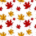 Autumn maple leaves seamless pattern isolated on white background. Hand drawn colored sketch vector illustration. Vintage line art Royalty Free Stock Photo