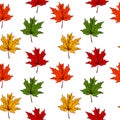 Autumn maple leaves seamless pattern isolated on white background. Hand drawn colored sketch vector illustration. Vintage line art Royalty Free Stock Photo