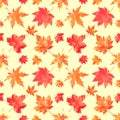 Autumn maple leaves, seasonal pattern