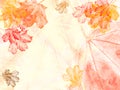 Autumn Maple Leaves Template 1