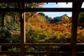 Autumn maple leaves at Tofukuji temple, Kyoto Royalty Free Stock Photo