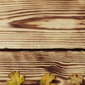 Autumn maple leaves on wooden background