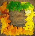 Autumn maple leaves on wooden background Royalty Free Stock Photo