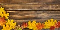 Autumn maple leaves on wooden board. Horizontal frame with leafage