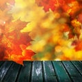 Autumn maple leaves on wooden table. Falling leaves natural background