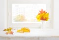 Autumn maple leaves on wooden table over blurred window background Royalty Free Stock Photo