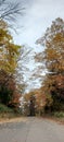 Autumn Maple Scenery at Lake Akan Town 6 Royalty Free Stock Photo