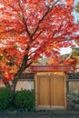 Autumn maple tree, Arashiyama old village street in Kyoto, Japan Royalty Free Stock Photo