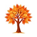 Autumn Maple Tree Vector Art with Colorful Leaves Royalty Free Stock Photo