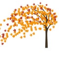 Autumn maple tree in the wind