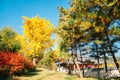 Autumn maple trees and Korean traditional house at Namhansanseong Fortress in Gwangju, Korea