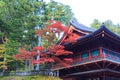 Autumn maple trees near Rinnoji temple of Nikko, Japan