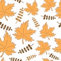 Autumn maple yellow color fall seamles pattern. Hand drawn clip art illustration. Thanksgiving, happy harvest celebrate. Fabric