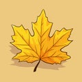 Autumn Maple Yellow Leaf isolated, Vector Illustration