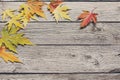 Autumn maple yellow leaves on rustic wood background Royalty Free Stock Photo