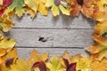 Autumn maple yellow leaves on rustic wood background Royalty Free Stock Photo