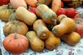 Autumn market. Pumpkins Royalty Free Stock Photo