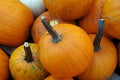 Autumn market pumpkins Royalty Free Stock Photo