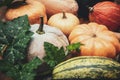 Autumn market with various sorts of pumpkins, thanksgiving and marrows Royalty Free Stock Photo