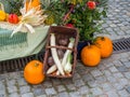 Autumn market weekly market with pumpkins Royalty Free Stock Photo