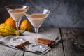 Autumn martini cinnamon cocktail