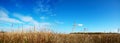 Autumn meadow Royalty Free Stock Photo