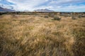 Autumn meadow landscape