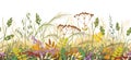 Autumn Meadow Plants Seamless Border Royalty Free Stock Photo