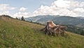 Autumn meadow with stump and Tatry mountains panorama Royalty Free Stock Photo