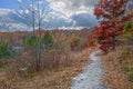 Autumn Meadow Trail Royalty Free Stock Photo