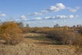 Autumn meadow with yellowed grass and bushes under a clear blue sky with white clouds Royalty Free Stock Photo