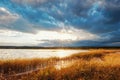 Autumn meadows lush grass and lakeside with the rays of the sun silence Royalty Free Stock Photo