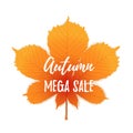 Autumn mega sale flyer colorful template with bright october leaf. Poster, banner design for seasonal sale Royalty Free Stock Photo