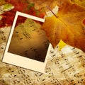 Autumn melody Royalty Free Stock Photo