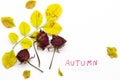 Autumn message card handwriting with leaf, dried rose flowers in autumn season