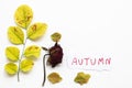 Autumn message card handwriting with leaf, dried rose flowers in autumn season