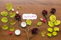 Autumn message card handwriting with leaf, dried rose flowers, candle ,stick in autumn