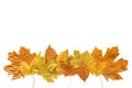 Autumn metallic gold copper silver leaves isolated on white. Different fall metallic paint leaves border frame on white