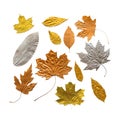 Autumn metallic gold copper silver leaves set isolated on white.