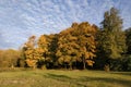autumn mid-europe, trees with bright yellow green red leaves against a blue sky with clouds. Royalty Free Stock Photo
