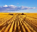 The autumn midday on fields of Montana Royalty Free Stock Photo