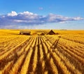 The autumn midday on fields of Montana