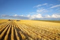 The autumn midday on fields of Montana Royalty Free Stock Photo