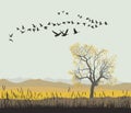 Autumn migration of wild geese