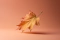 Autumn minimal art dream. Fall maple leaf on a colored minimal background Generative AI.