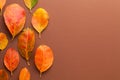 Autumn Minimal Background With Orange Leaves